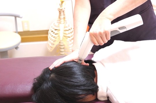 Activator アクティベータ療法 認定者 - コアレディスカイロ