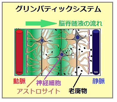 頭蓋仙骨治療 頭蓋仙骨治療 | ジョン・E・アプレジャー,D.O., F.A.A.O, ジョン
